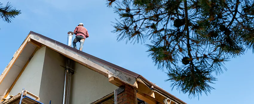 Birds Removal Contractors from Chimney in Pleasantville, NJ